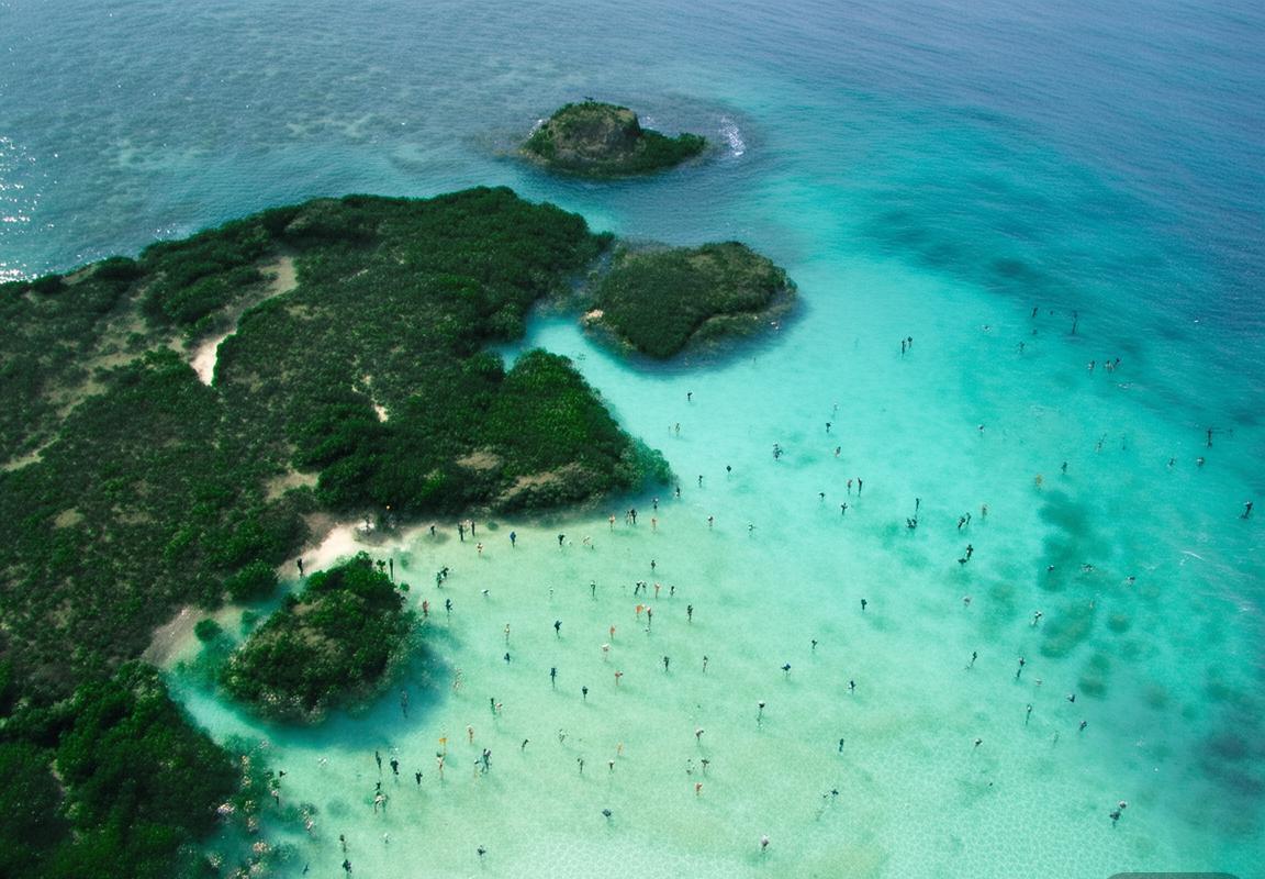 欧冠胜利法则：后卫进球与锋线进攻的战术博弈启示录